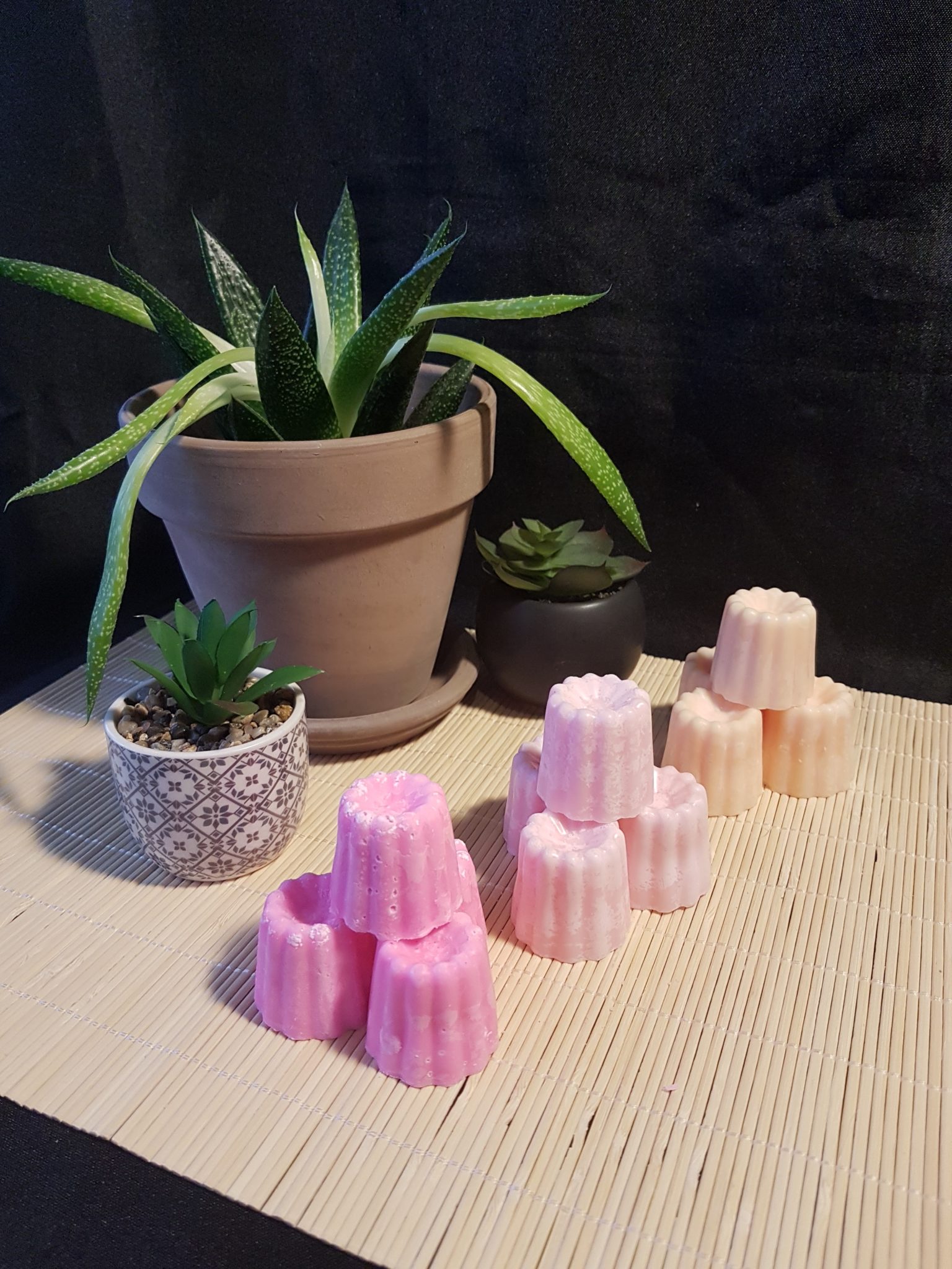 Fondants Parfumés Cèdre - Lot De 8 Donuts En Cire De Colza - Parfum Naturel De Grasse